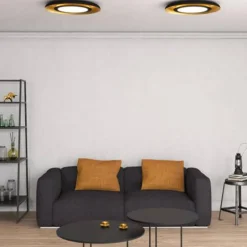 Plafón Shiitake Negro/Oro 60w